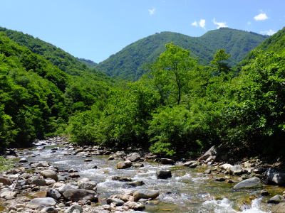 加須良川から蓮如峠を望む